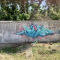 210213_SanAndres_11
