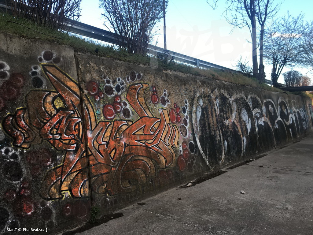 210414_SofiePerlovska_080