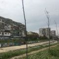 210424_PodolskaVitinya_004