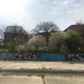 210424_PodolskaVitinya_081