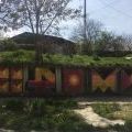 210424_PodolskaVitinya_196