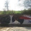210424_PodolskaVitinya_209