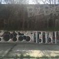 210424_PodolskaVitinya_232
