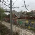 210424_SofiaRilska_001