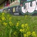 210511_Barrandov_046