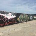 210523_Varna_15