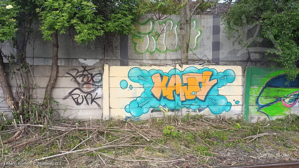 210529_Pantograff15_03
