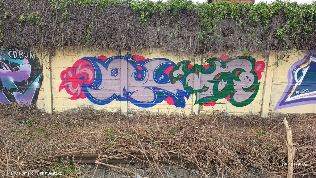 210529_Pantograff15_28