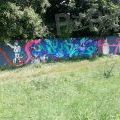 210726_Dosta_12