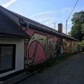 210830_1_NaStoupach_02