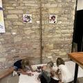 210909_Kafes33_26