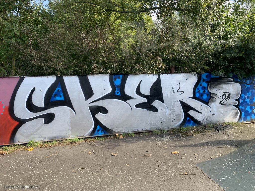 210926_SkateparkPribor_11