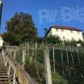 210928_Zagreb_07