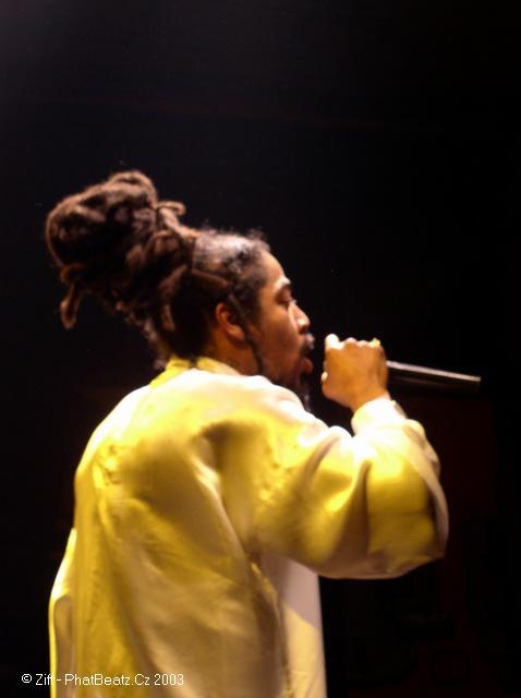 21afura-ziff