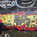 251108_RIP-QUEST_12