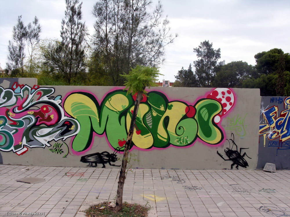 26_Alicante