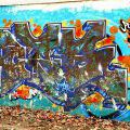 29_Chor-Pula
