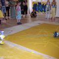 33pertogallchomutov