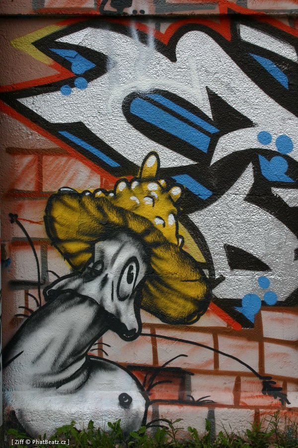 40_MnichovGraff