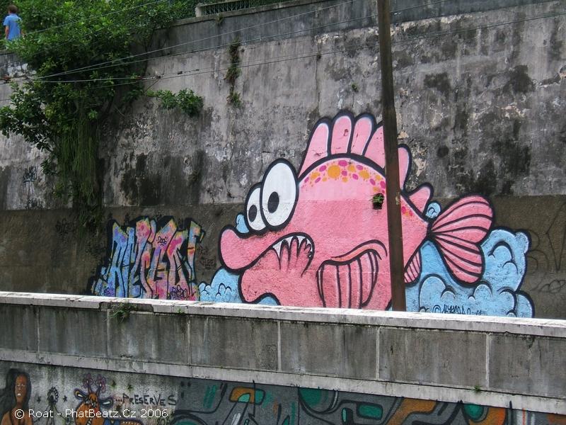 AMIGOBrazil08