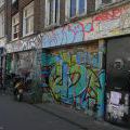 AmstrHaargraff_54