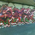 Antverpy_29