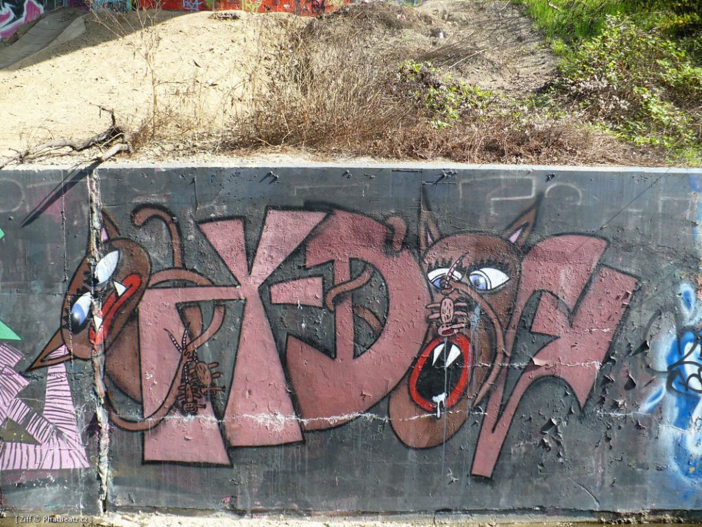 Barranov_24