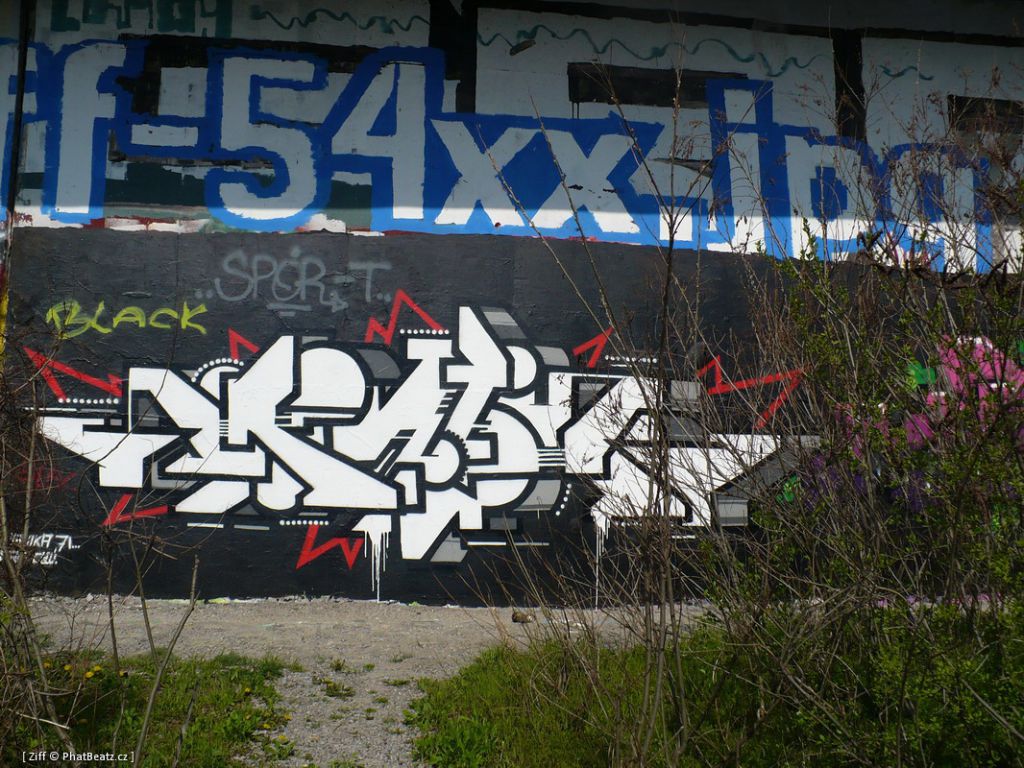 Barranov_44