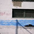 Brooklyn_033