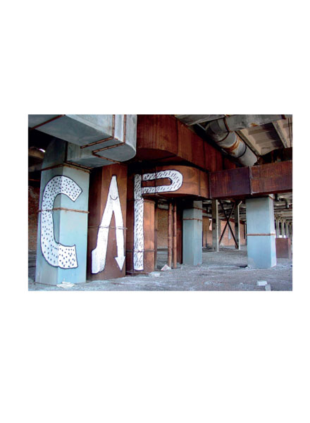 CAP_11