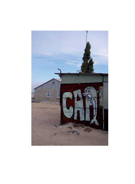 CAP_12