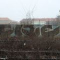 CKD_Vysocany_249