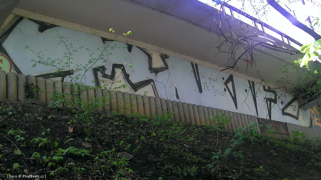Chotkova_25