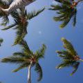 Dominicana2011_011