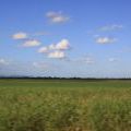 Dominicana2011_057