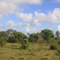 Dominicana2011_060