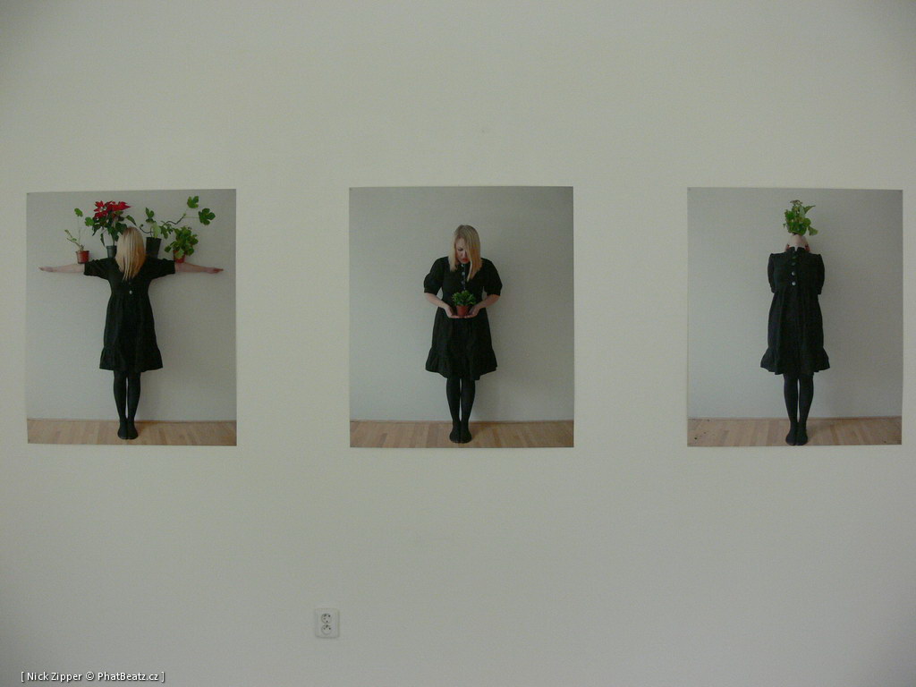 FUD-UJEP_2012_042