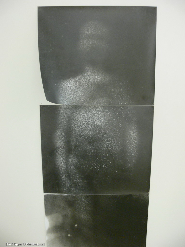 FUD-UJEP_2012_078