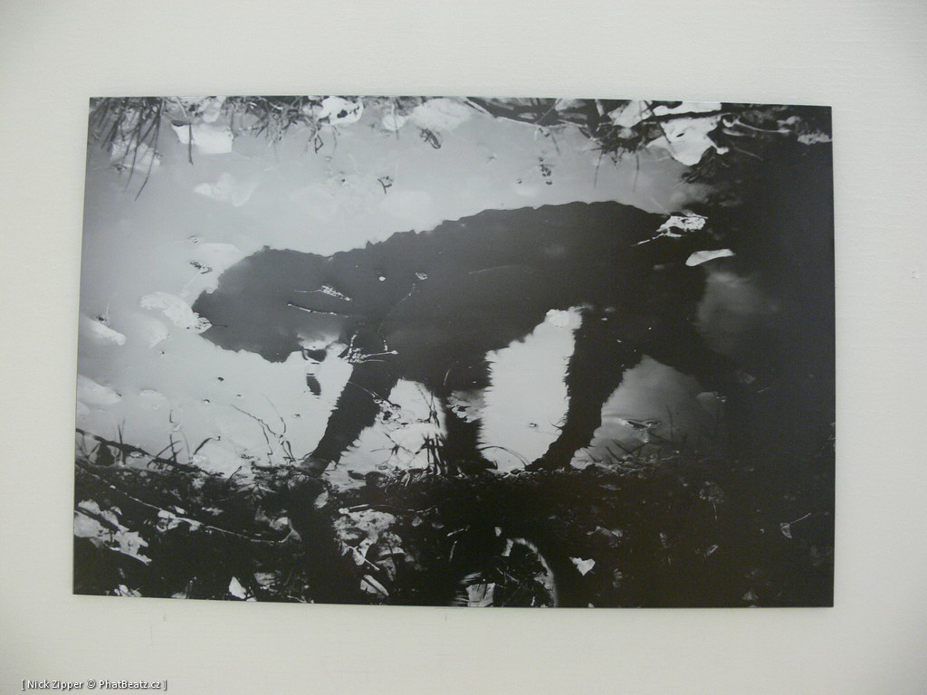 FUD-UJEP_2012_080