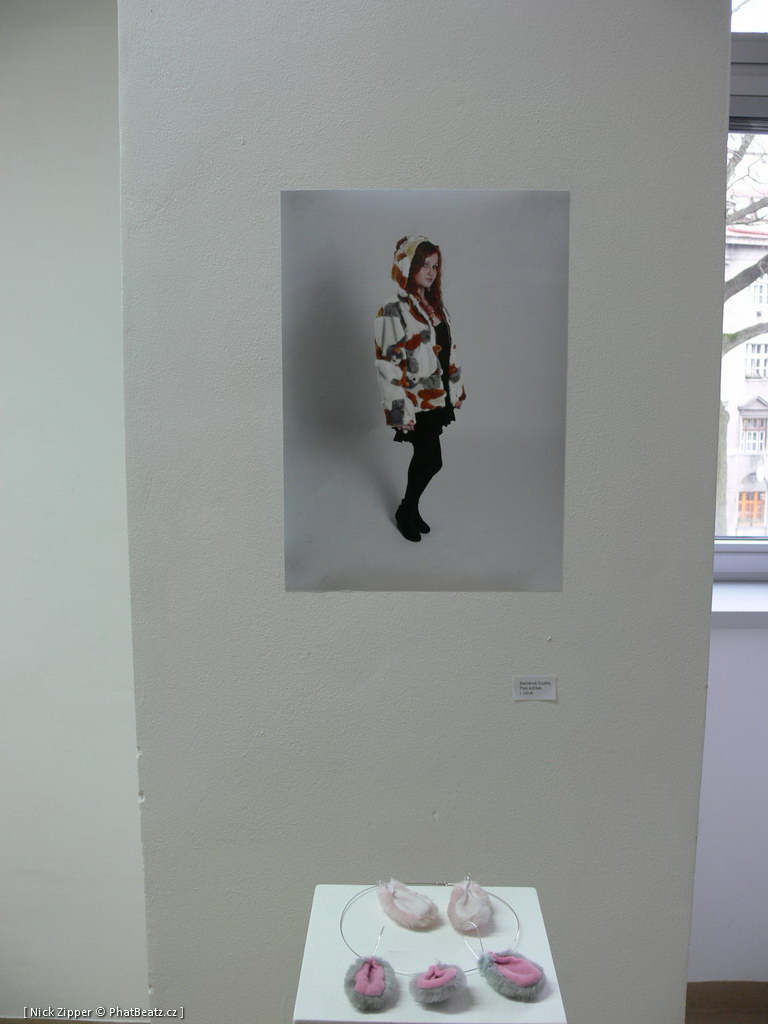FUD-UJEP_2012_086