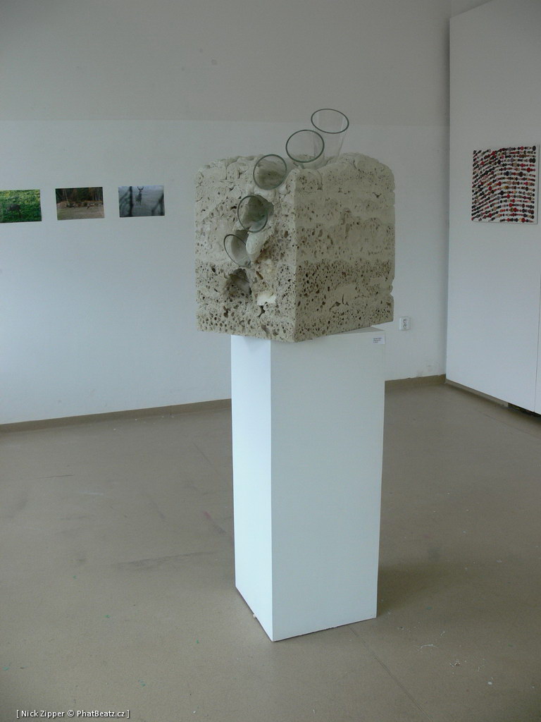 FUD-UJEP_2012_088
