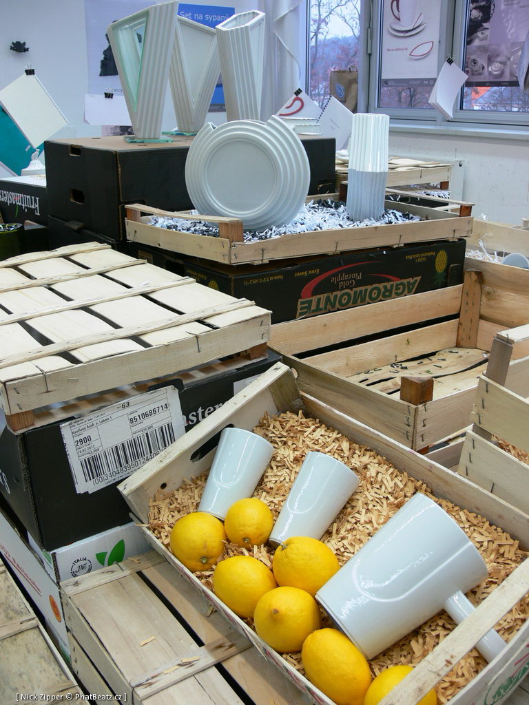 FUD-UJEP_2012_095