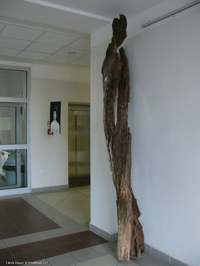 FUD-UJEP_2012_097