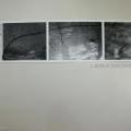 FUD-UJEP_2012_104