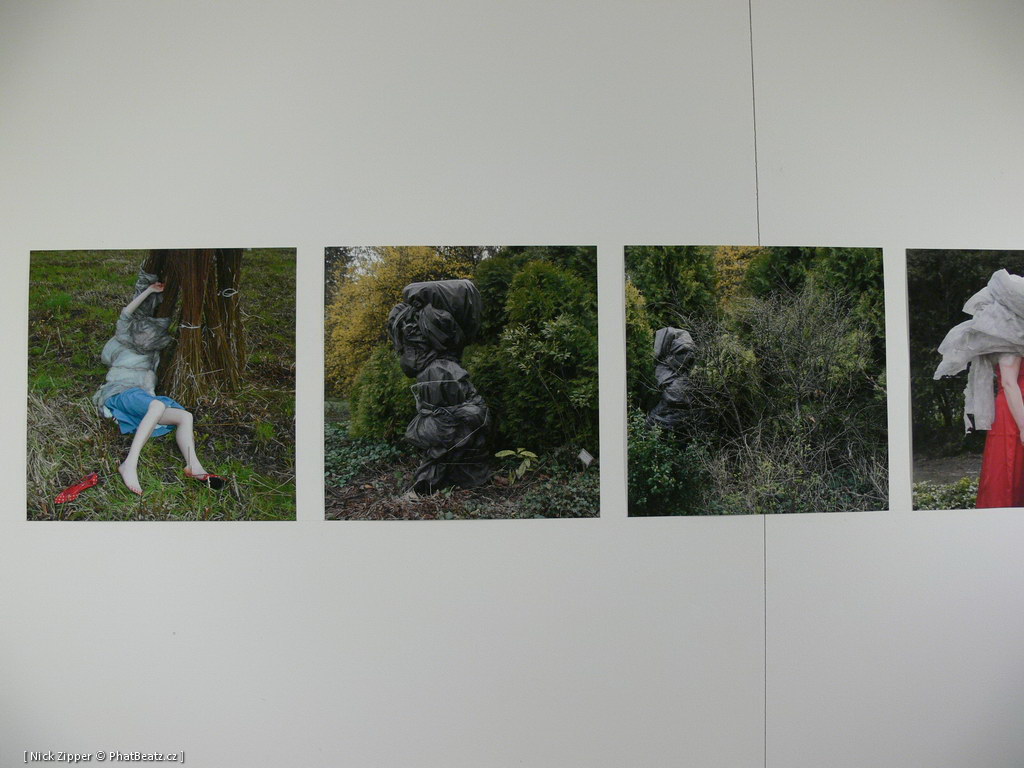 FUD-UJEP_2012_106