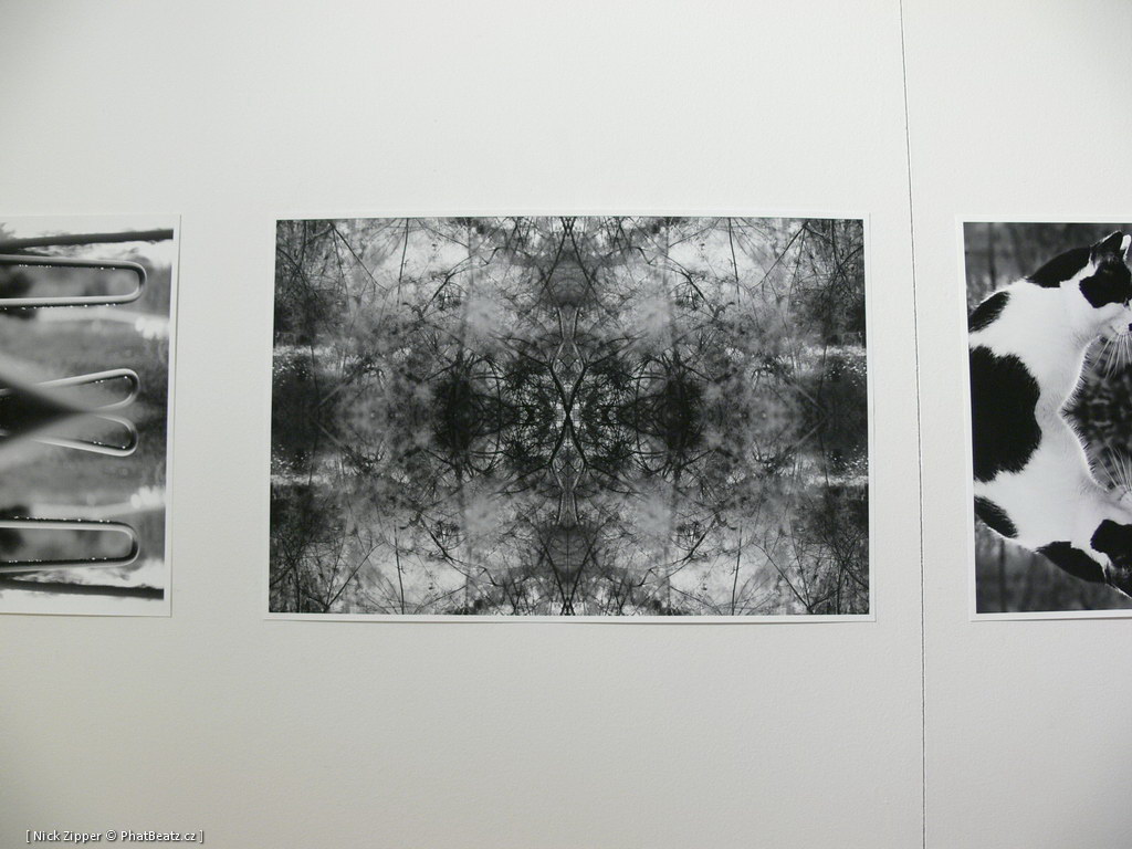 FUD-UJEP_2012_109