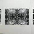 FUD-UJEP_2012_109