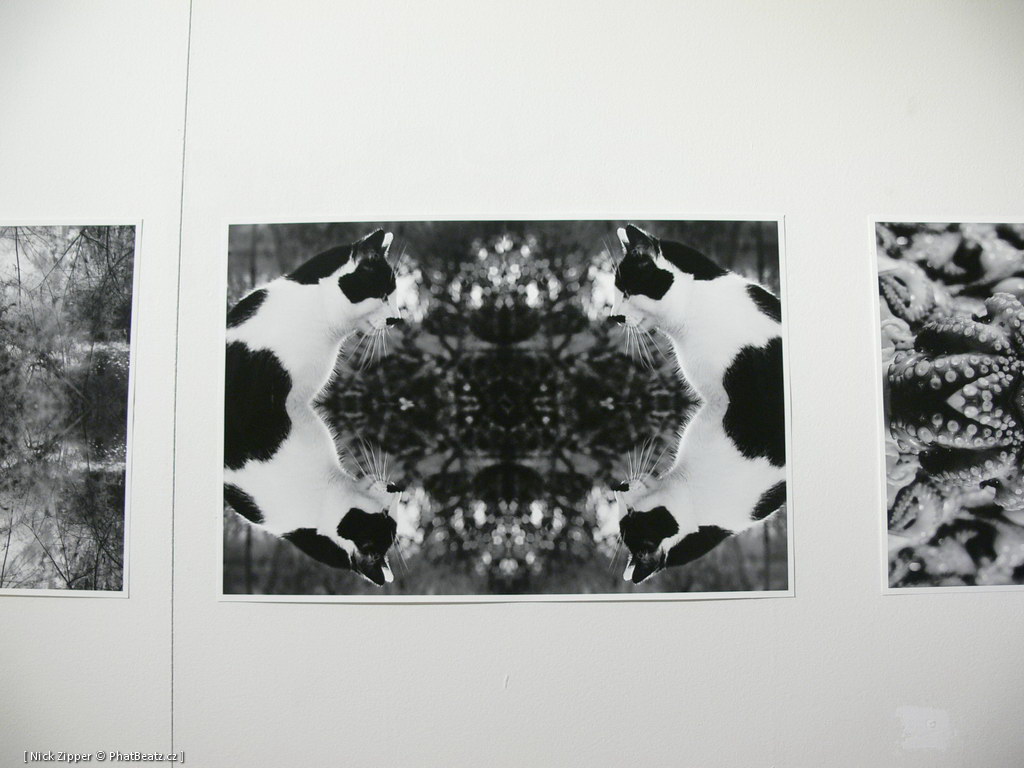 FUD-UJEP_2012_110
