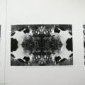 FUD-UJEP_2012_110