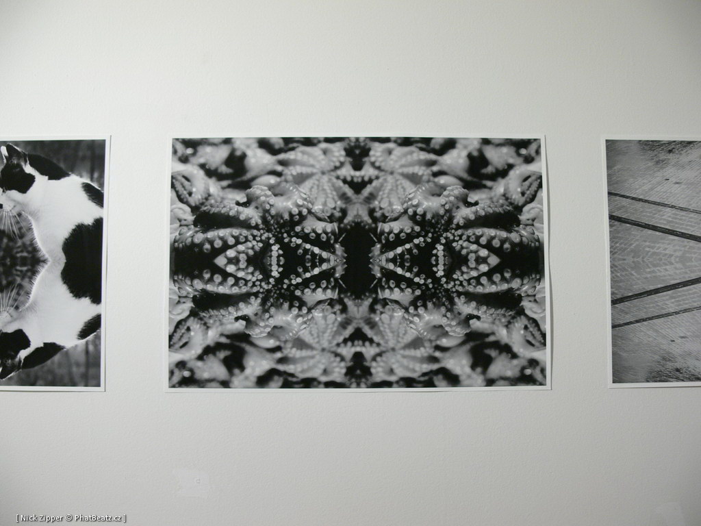 FUD-UJEP_2012_111